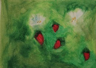 IMG_8886