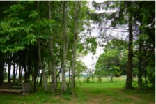DSC03564